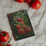 Tomaten: Rezepte und Ideen