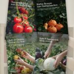 Die vier Rezept-Guides des Vorratskammer-Pakets vor einem Vorratsregal mit Einmachgläsern